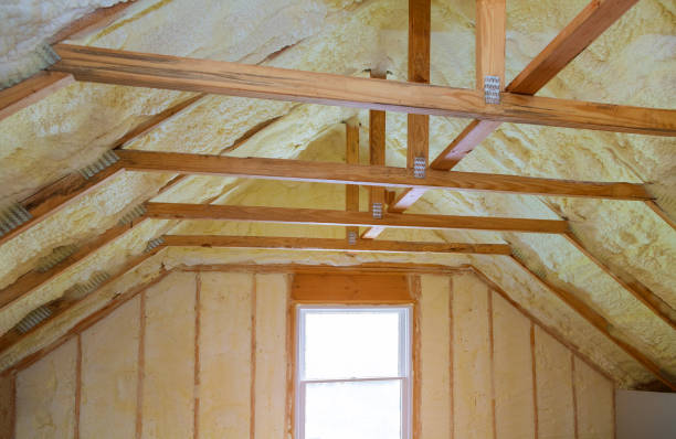 Best Residential Insulation in Tangerine, FL