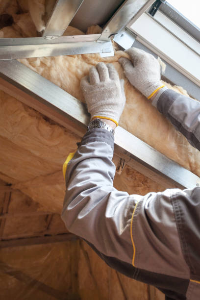 Best Specialized Insulation Services in Tangerine, FL