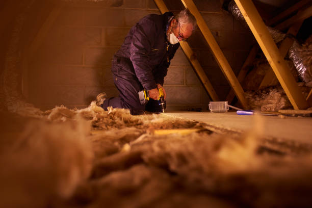 Best Cellulose Insulation in Tangerine, FL